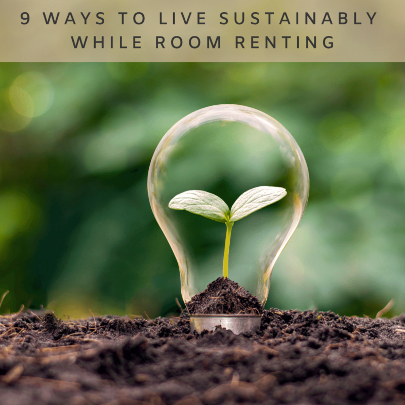 9 Ways to Live Sustainbly While Room Renting