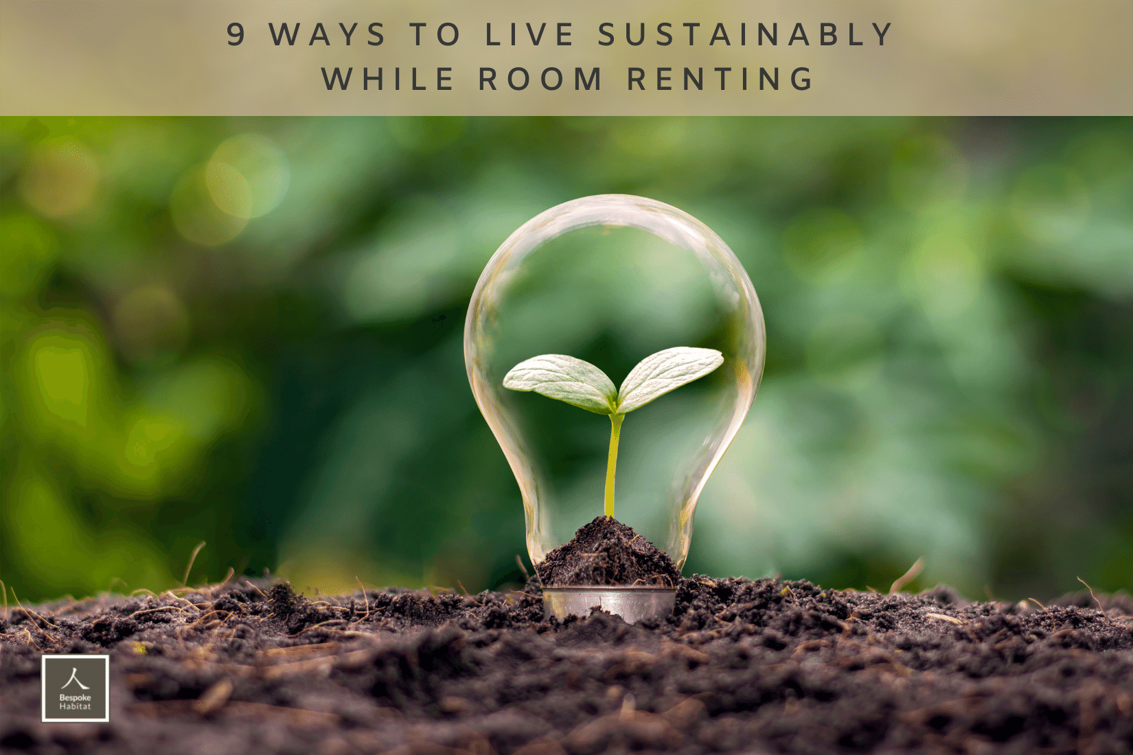 9 Ways to Live Sustainbly While Room Renting
