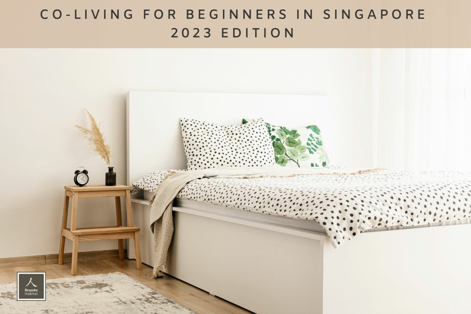 Co-living for Beginners in Singapore 2023 Edition