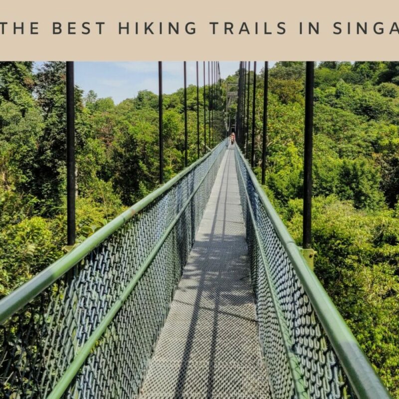 5 of the best hiking trails in singapore