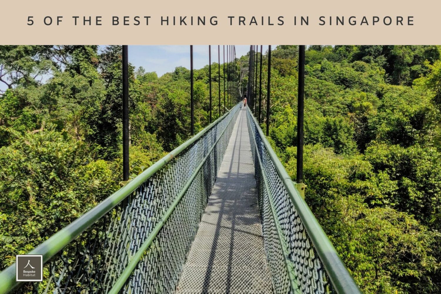 5 of the best hiking trails in singapore