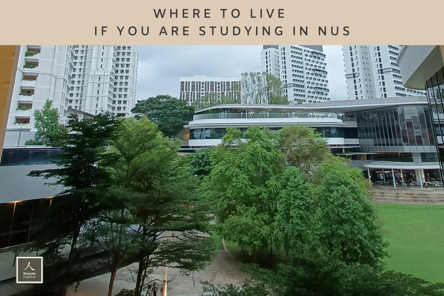 Where to Live If You Are Studying in NUS